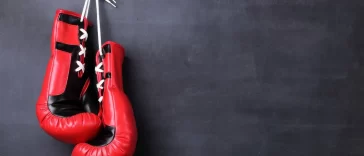 Best Boxing Gloves for Training: Expert Buying Tips