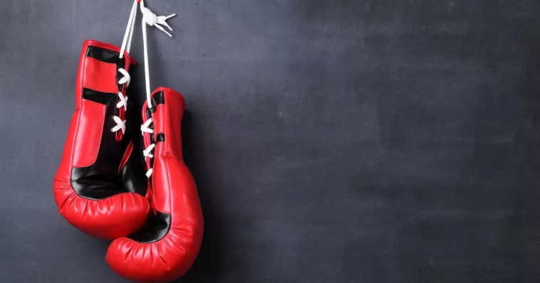 Best Boxing Gloves for Training: Expert Buying Tips