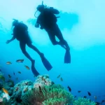 Cozumel Scuba Diving: Best Beginner Ocean Adventure Guide