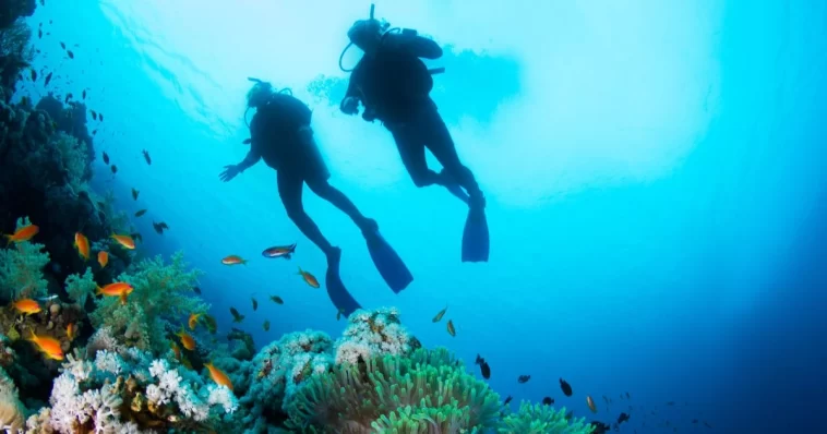Cozumel Scuba Diving: Best Beginner Ocean Adventure Guide