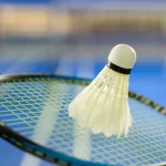 Best Badminton Sets Experts Actually Recommend