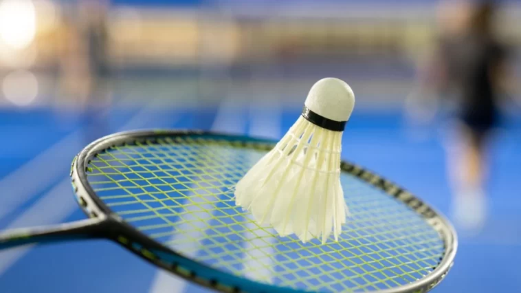 Best Badminton Sets Experts Actually Recommend